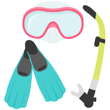 large snorkel gear set