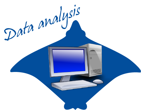Learn more on data analysis