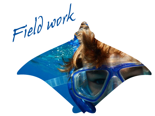 Learn more on field work